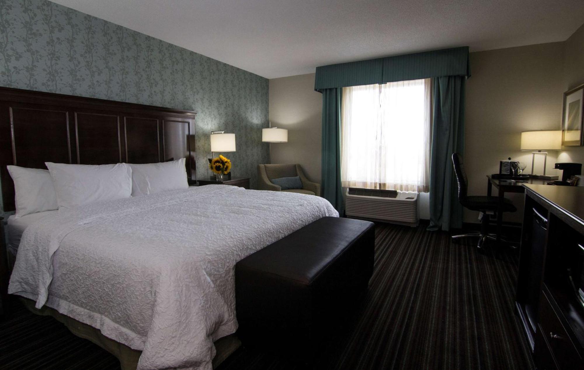 Hampton Inn & Suites By Hilton St. John'S Airport Bagian luar foto